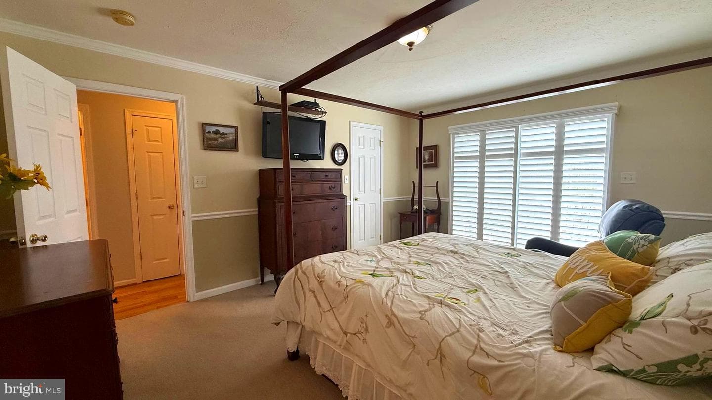 23 Whiskers Way photo 32