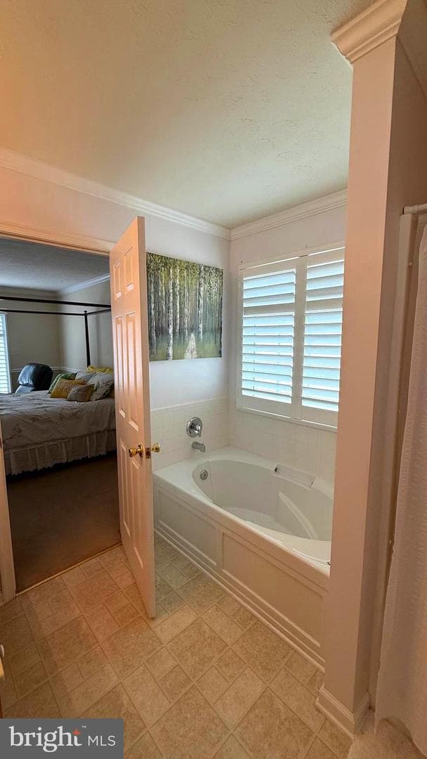 23 Whiskers Way photo 34