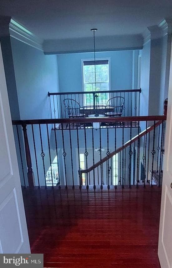 95 Belmeade Way photo 102