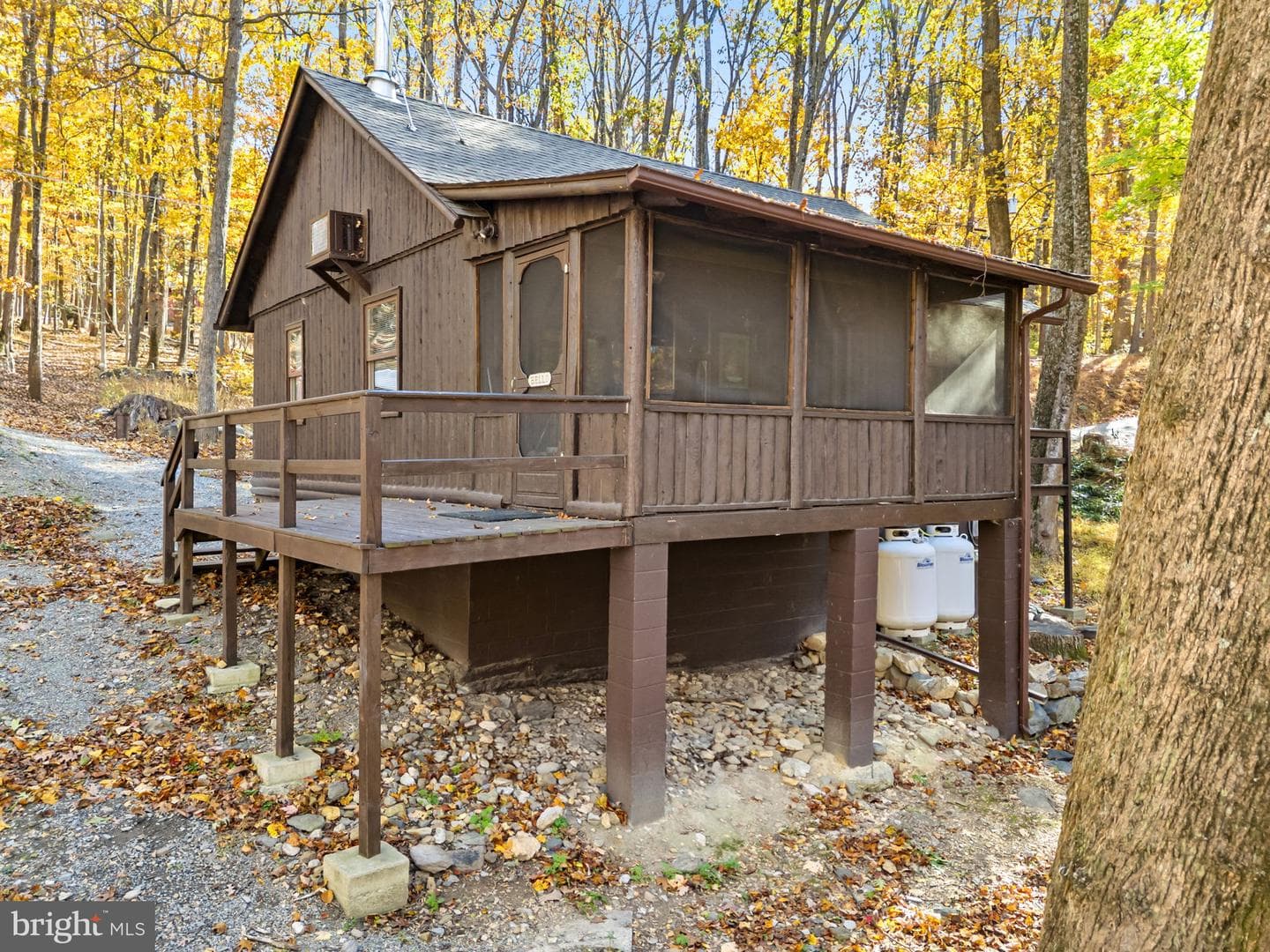 203 Honeysuckle Lane photo 5