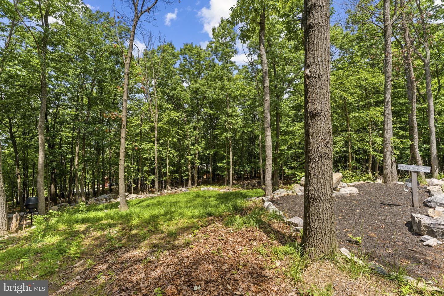 194 Black Bear Trail photo 56