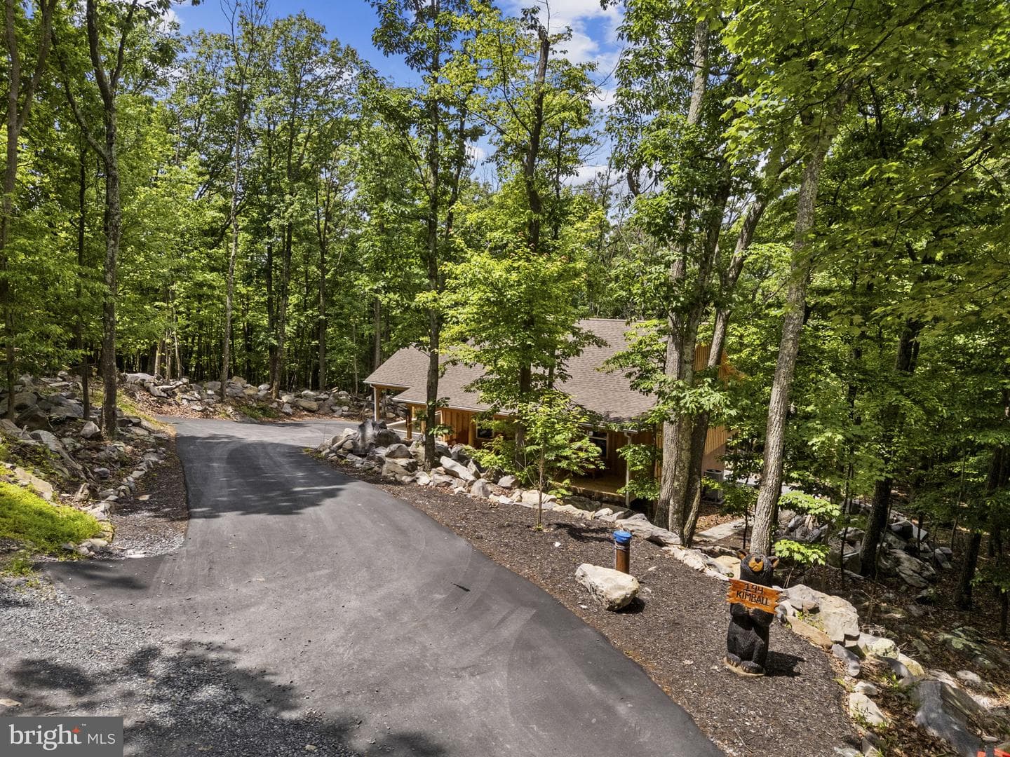 194 Black Bear Trail photo 60