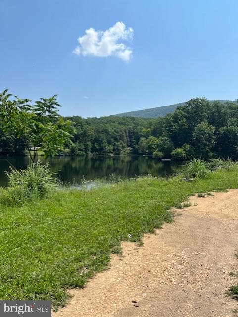 194 Black Bear Trail photo 74