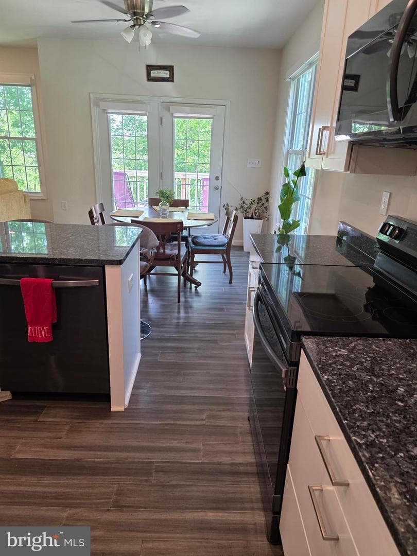 167 Hyde Park Lane photo 14
