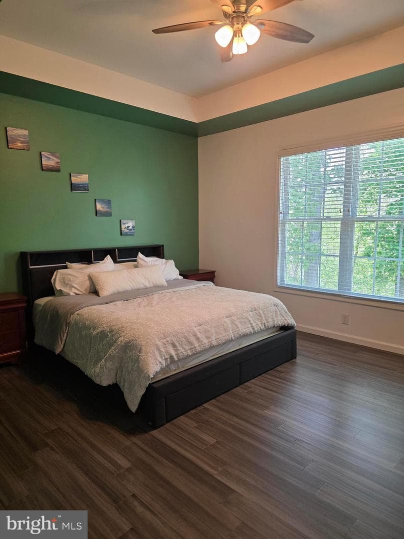 167 Hyde Park Lane photo 15