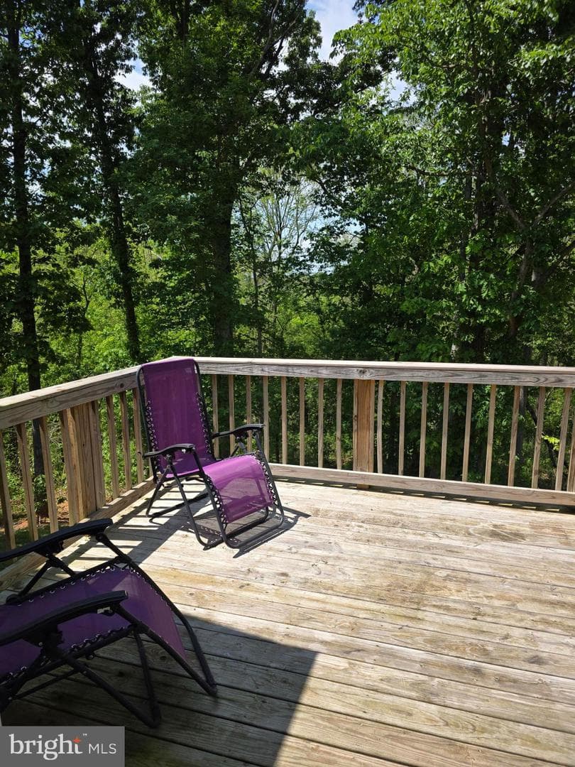 167 Hyde Park Lane photo 28