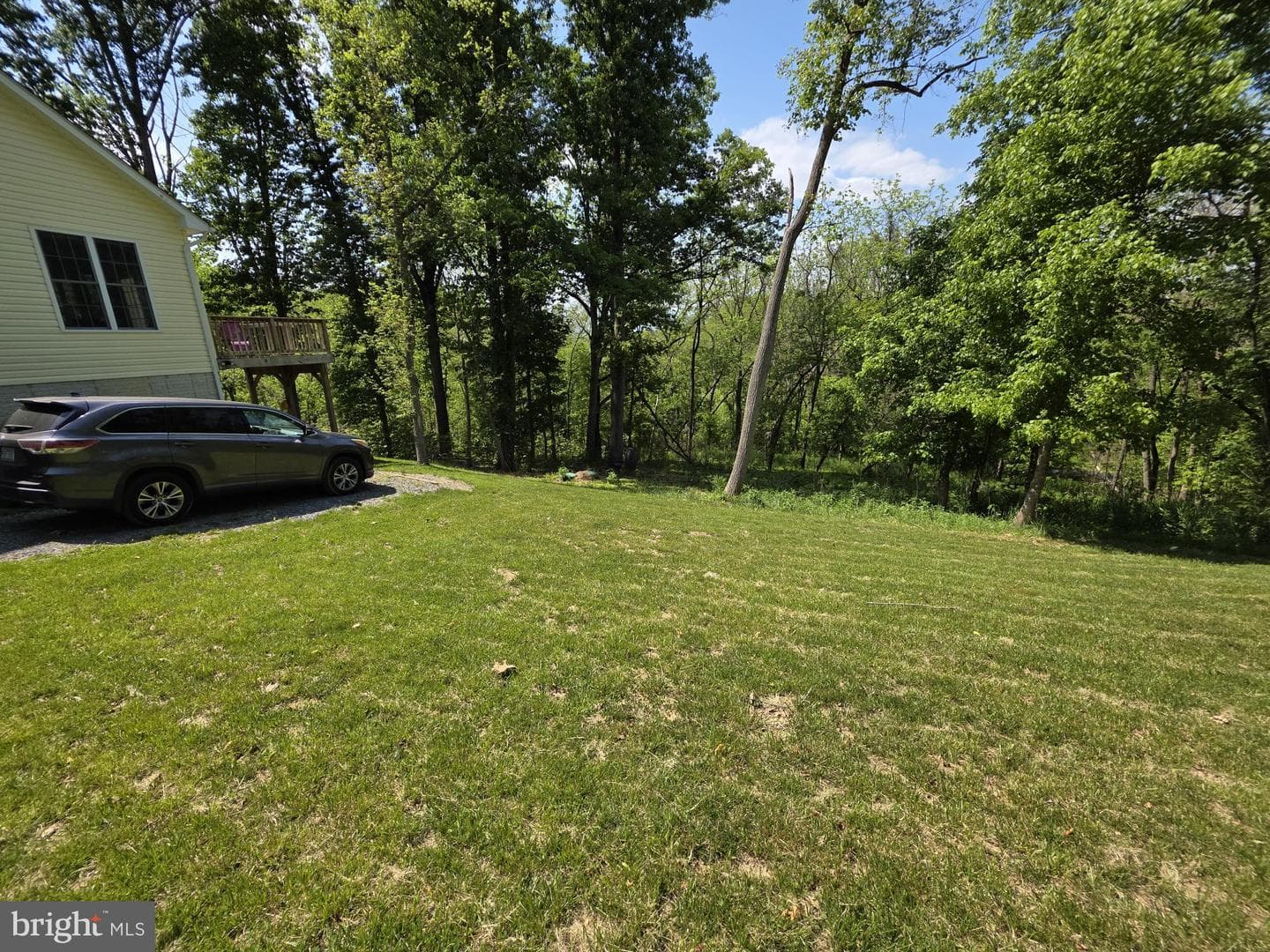 167 Hyde Park Lane photo 32