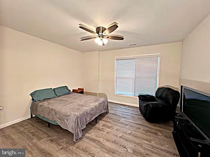 167 Hyde Park Lane photo 39