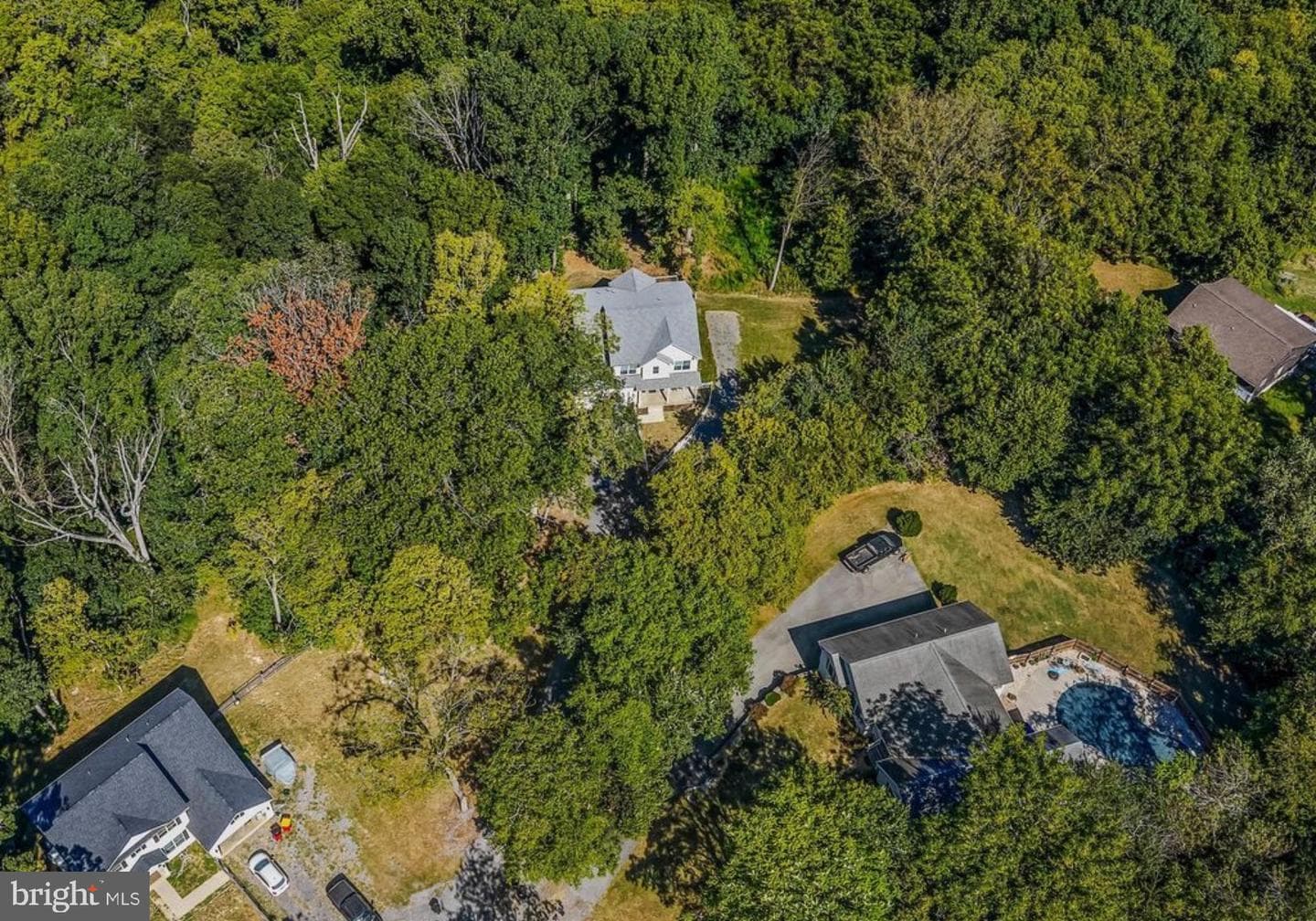 167 Hyde Park Lane photo 43