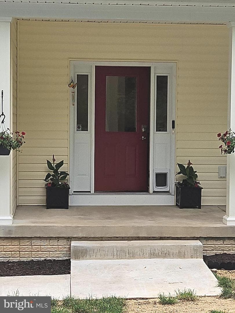 167 Hyde Park Lane photo 5