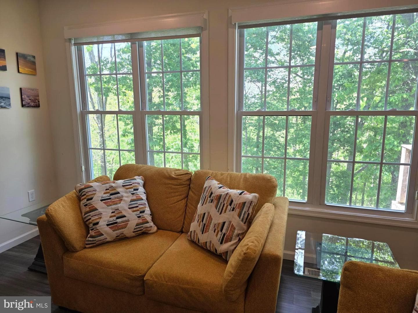 167 Hyde Park Lane photo 8