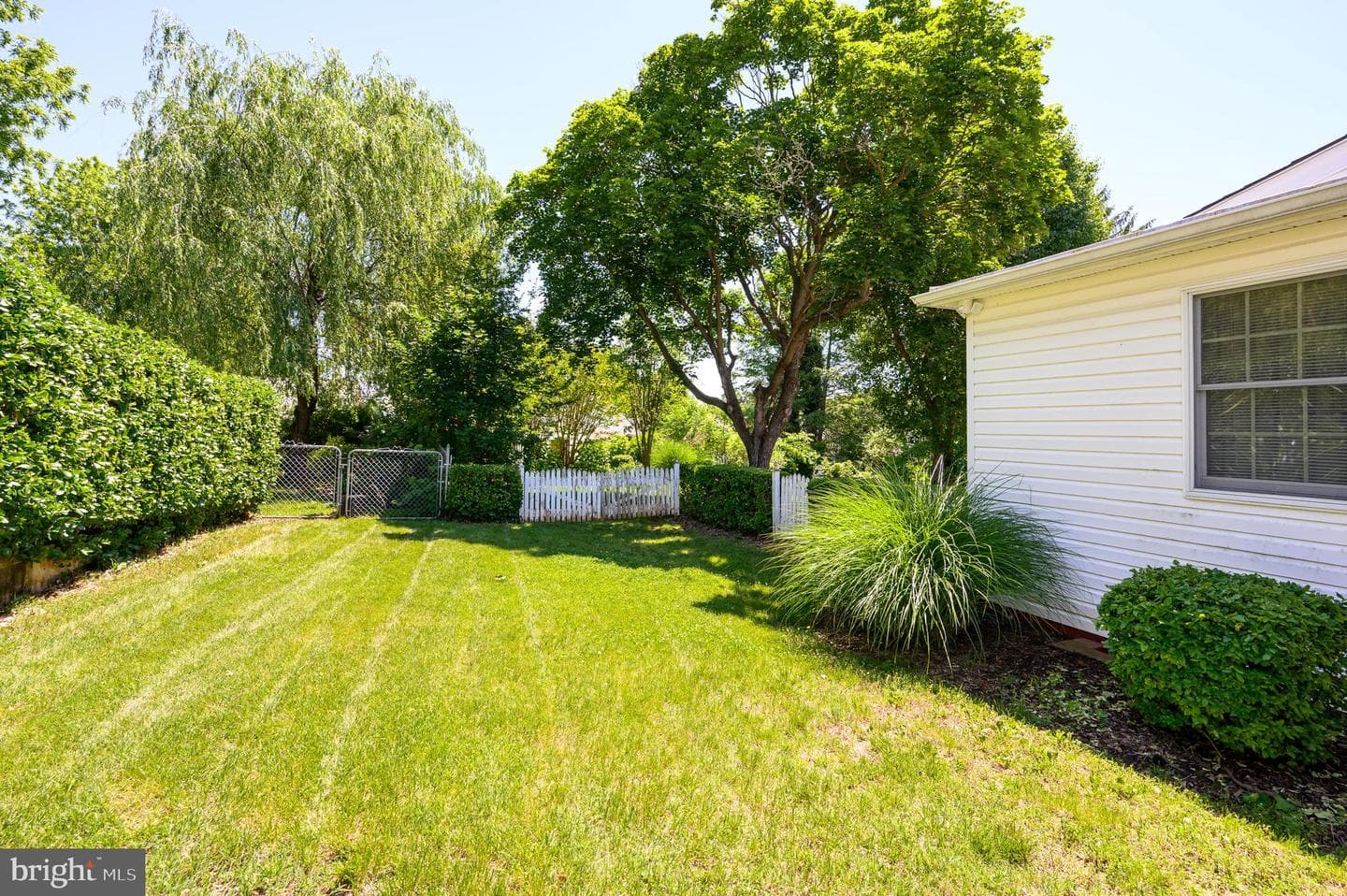 533 South Church Street photo 51