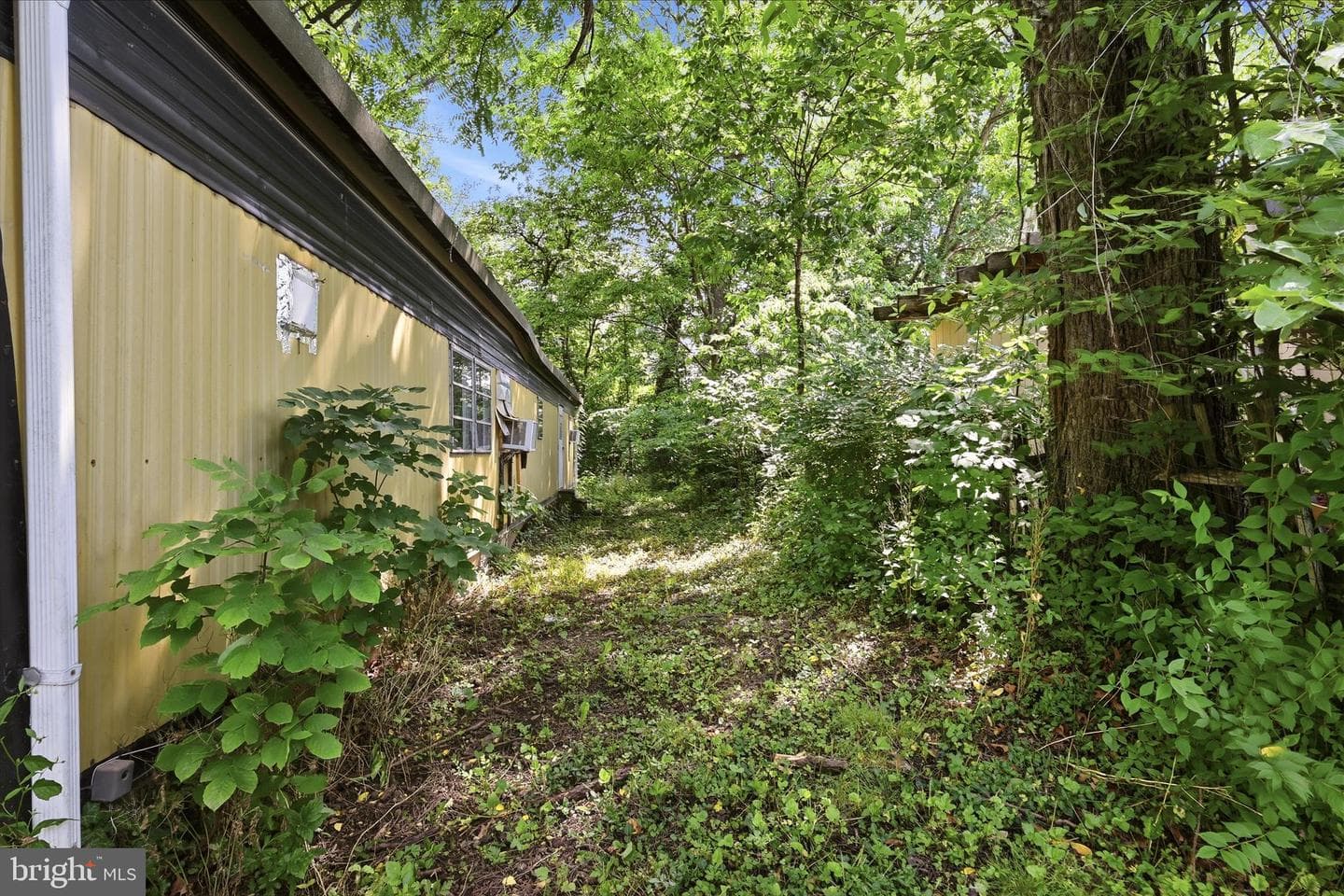 110 Old Trail Way photo 30