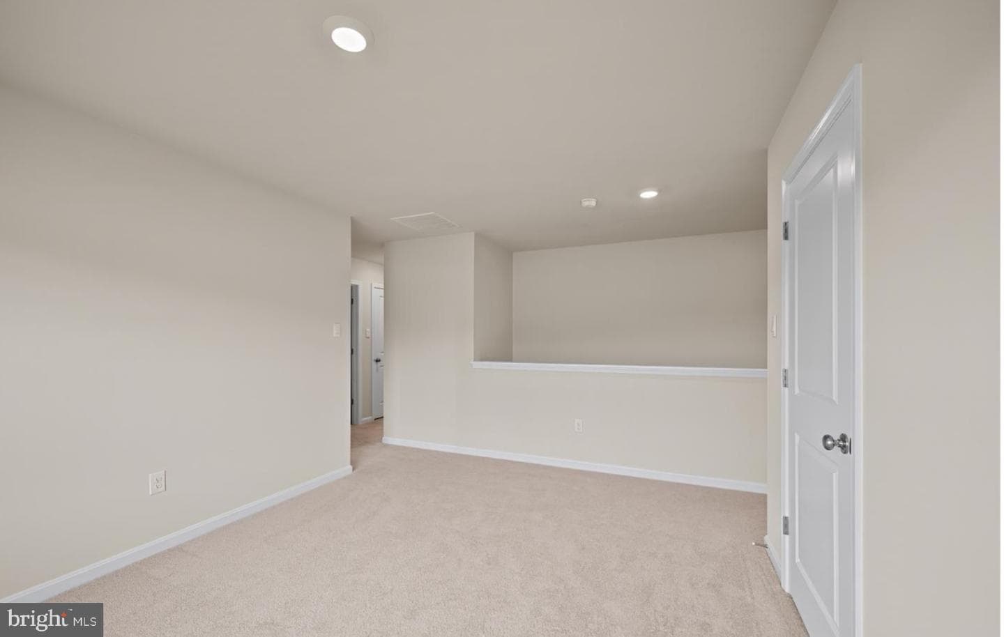 313 Atkinson Street photo 38