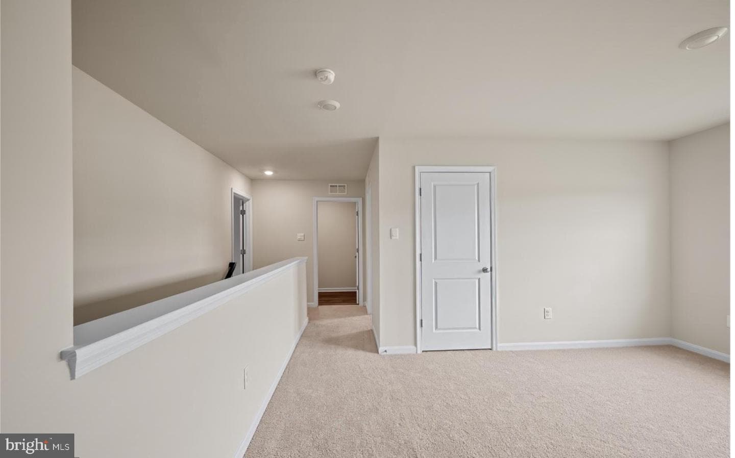 313 Atkinson Street photo 43