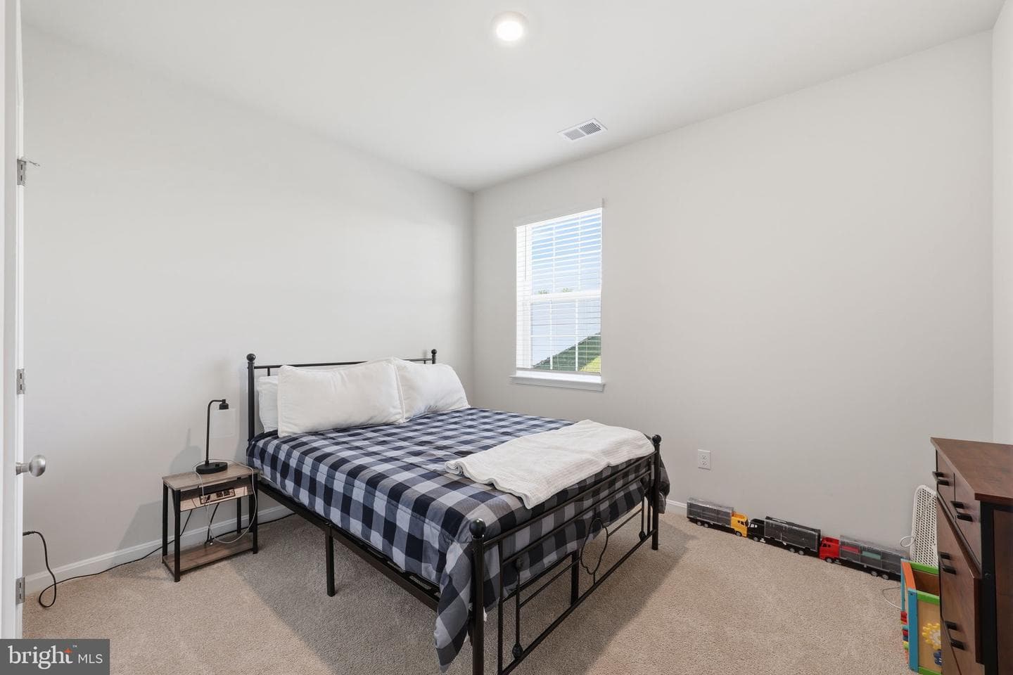 313 Atkinson Street photo 61