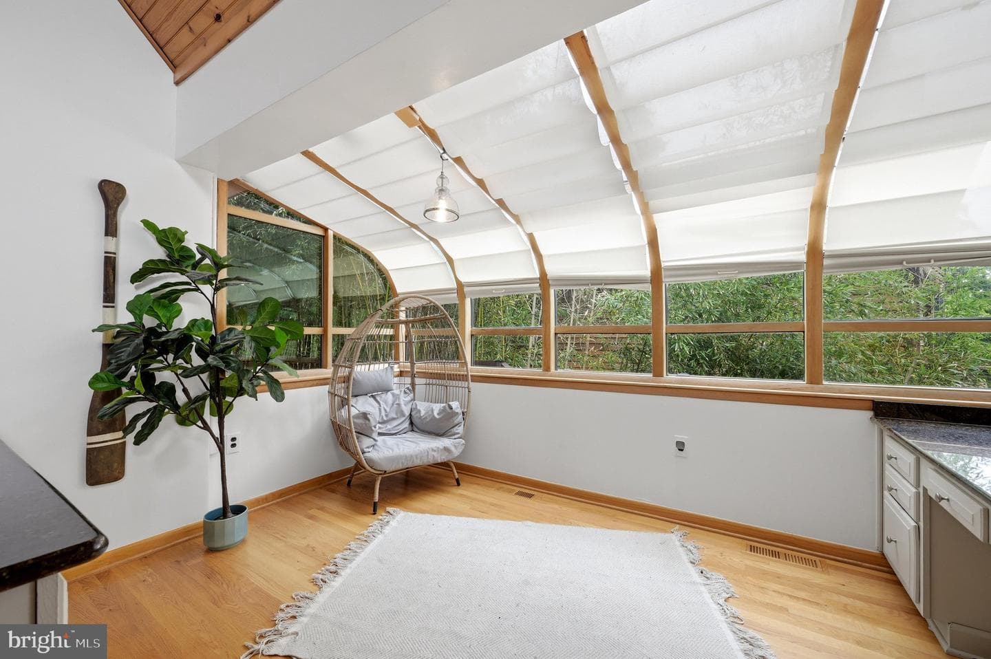 141 Mason Drive photo 18