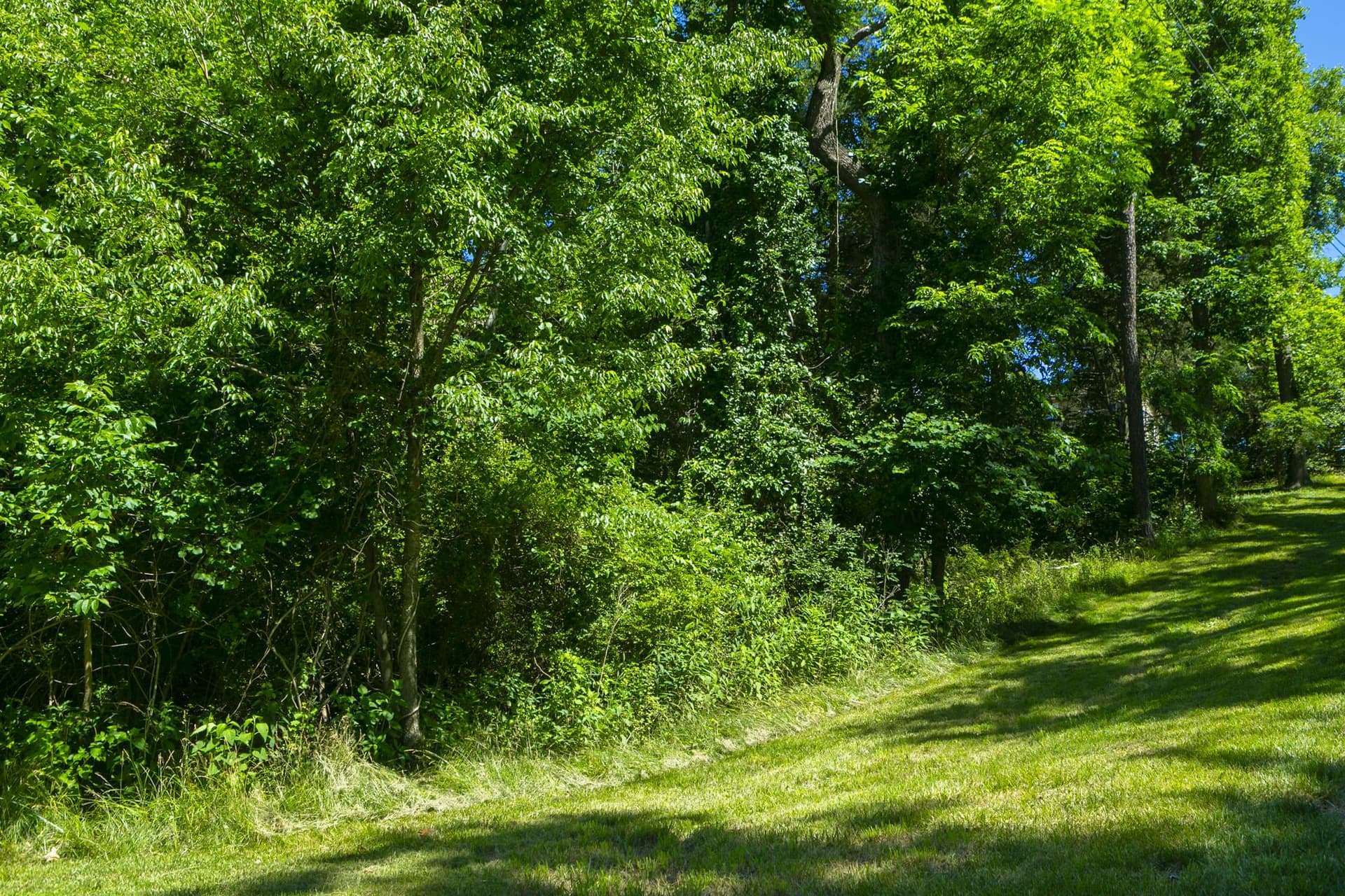 148 Signal Hill Lane photo 42