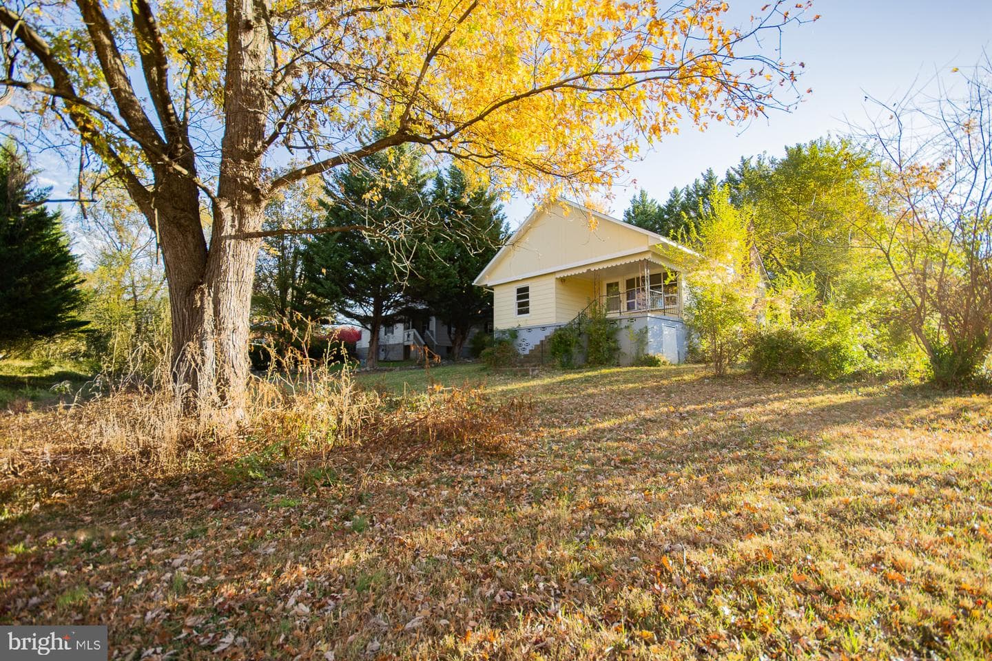 628 Brownville Lane photo 37