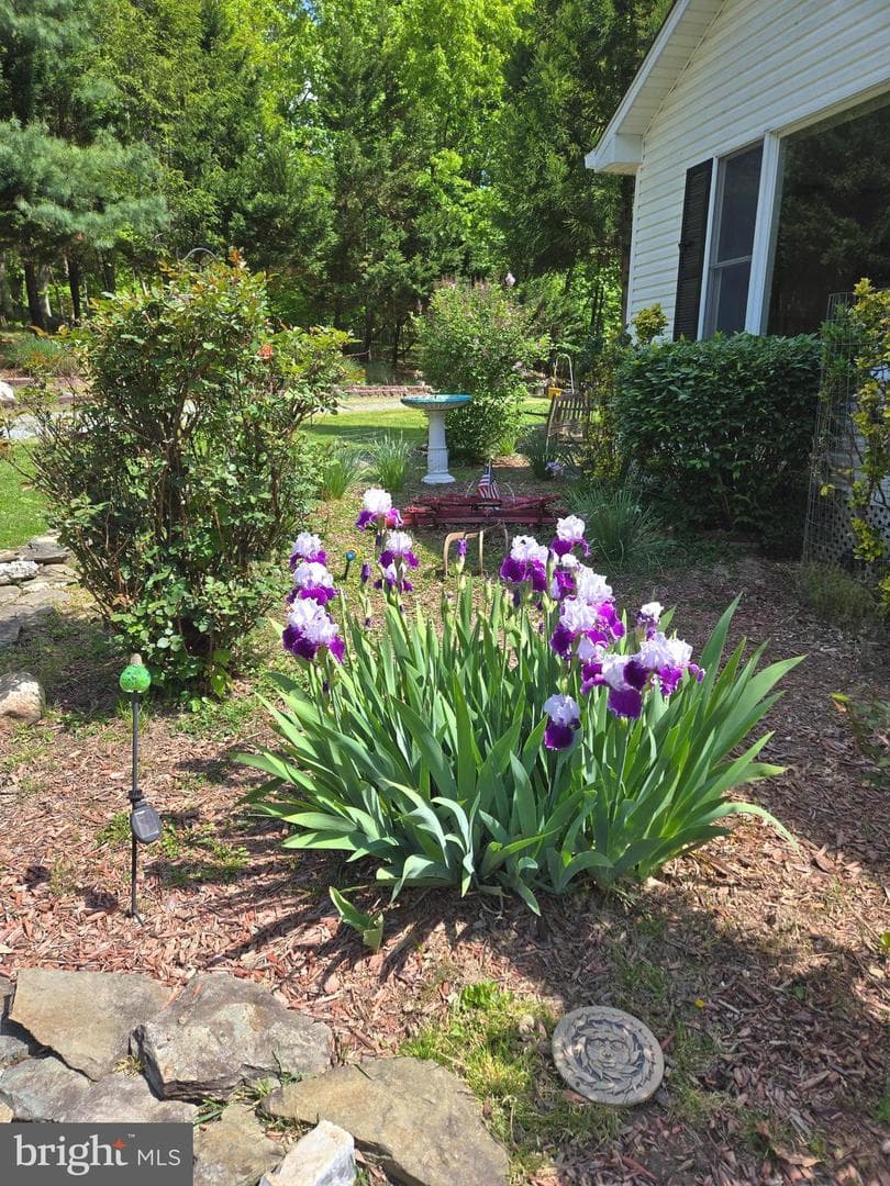 58 Branchy Road photo 3
