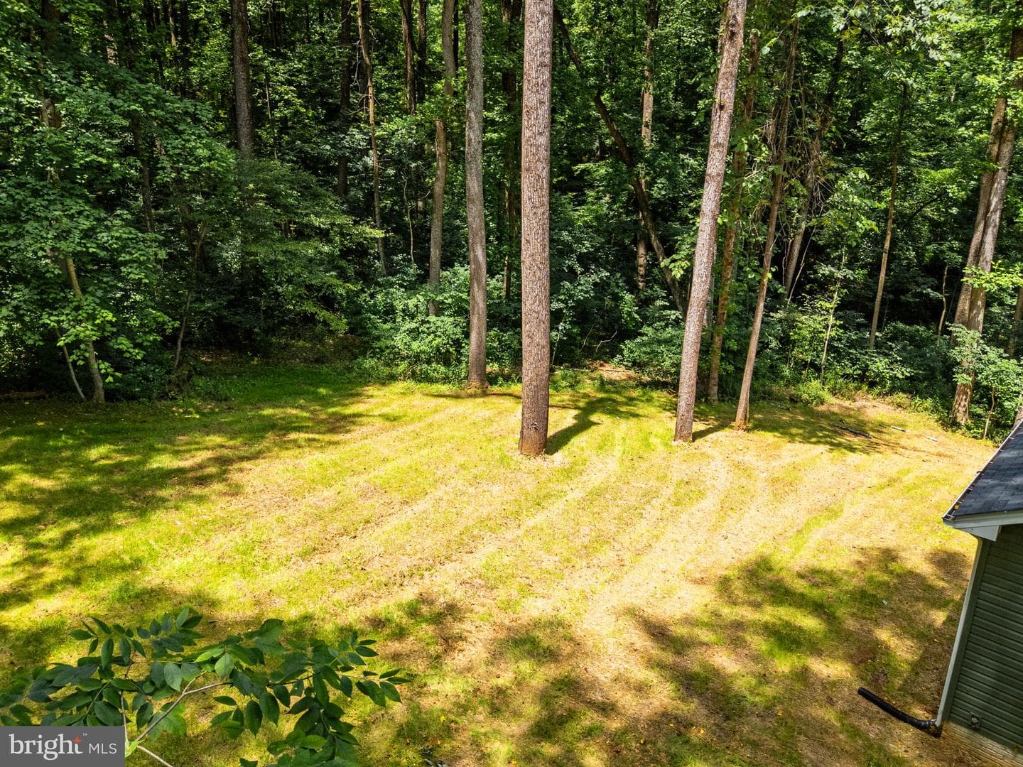 82 Shenandoah River Drive photo 46