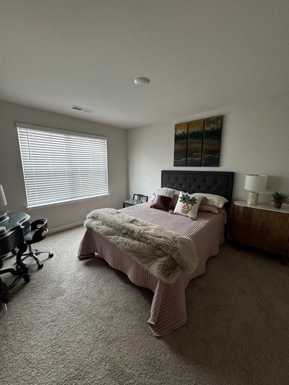 372 Atkinson Street photo 17