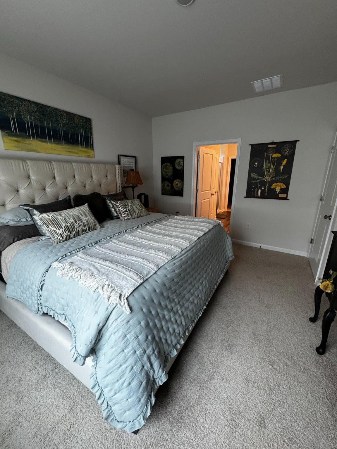 372 Atkinson Street photo 8