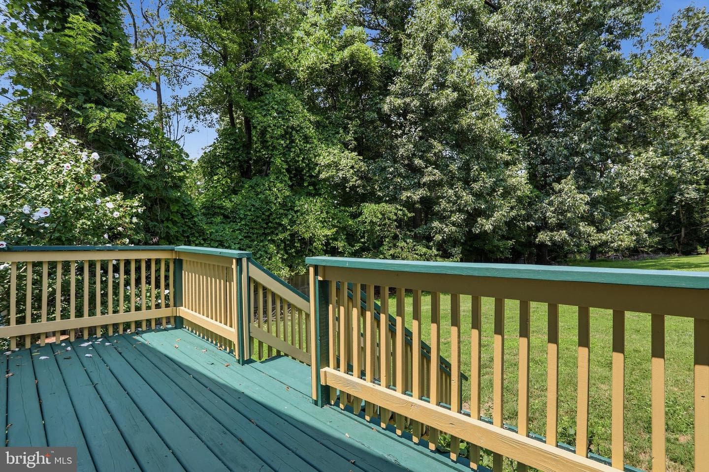 63 Great Oak Lane photo 25