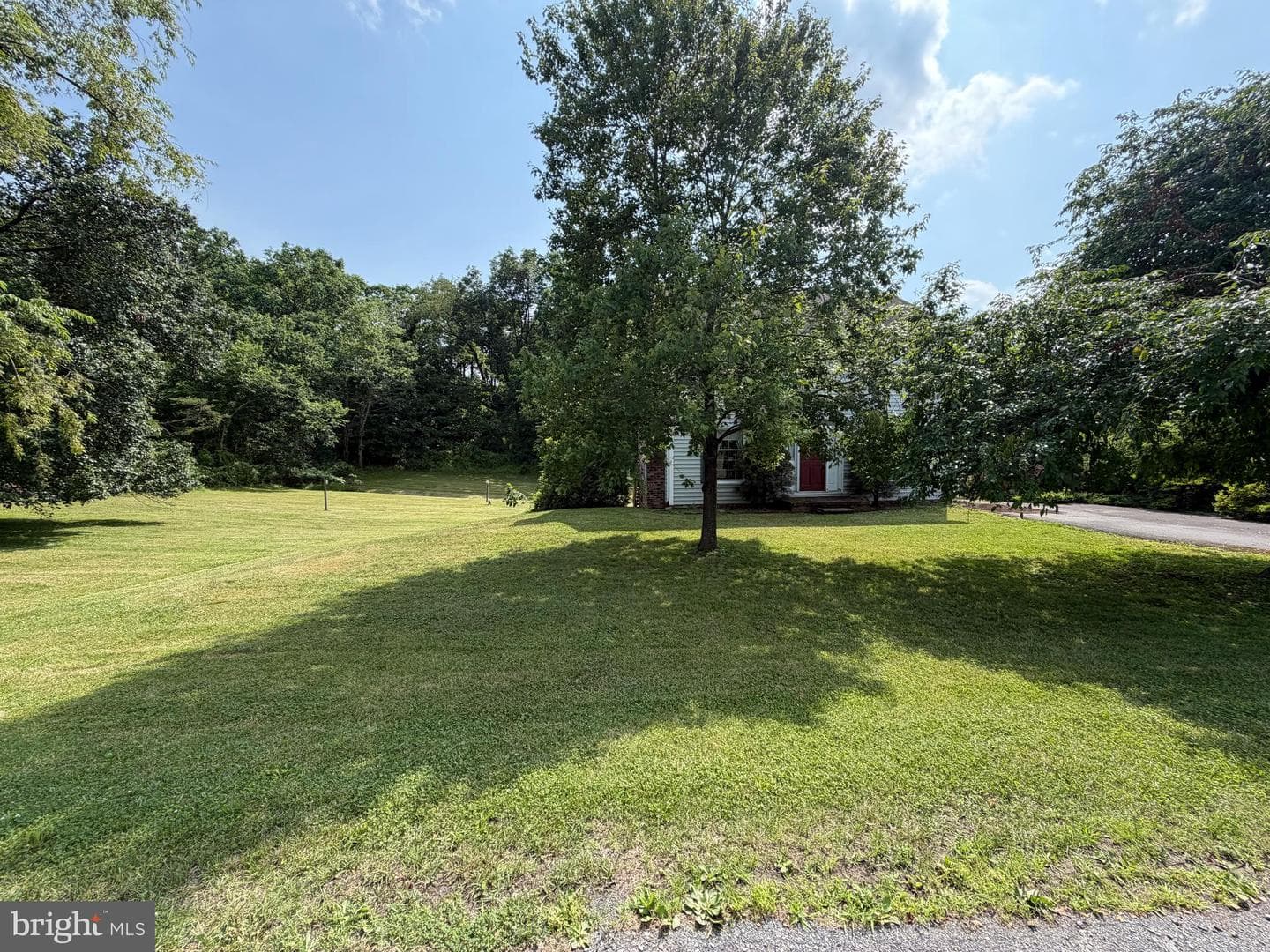 86 Rosser Lane photo 4