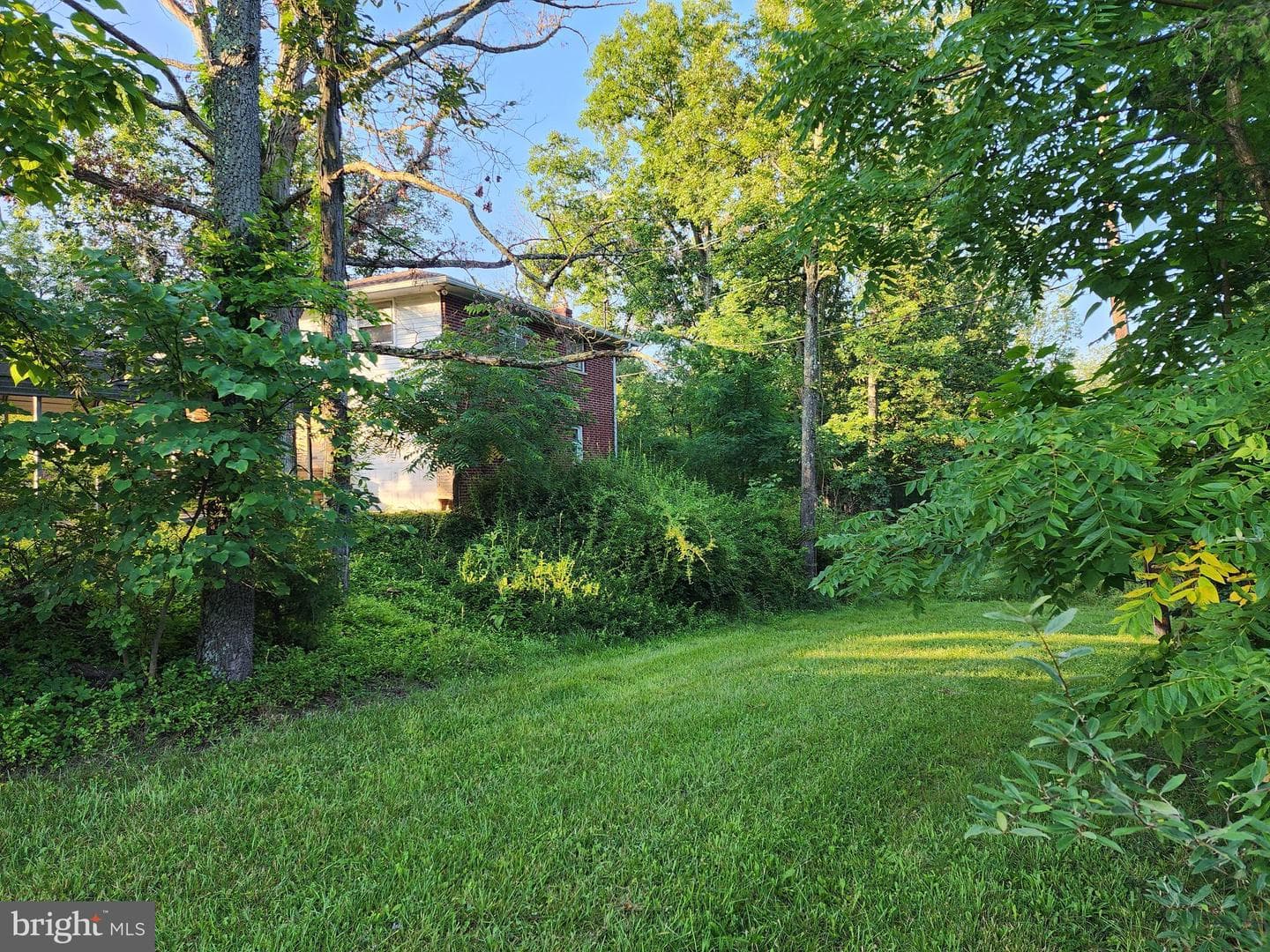 4549 Georges Run Road photo 17