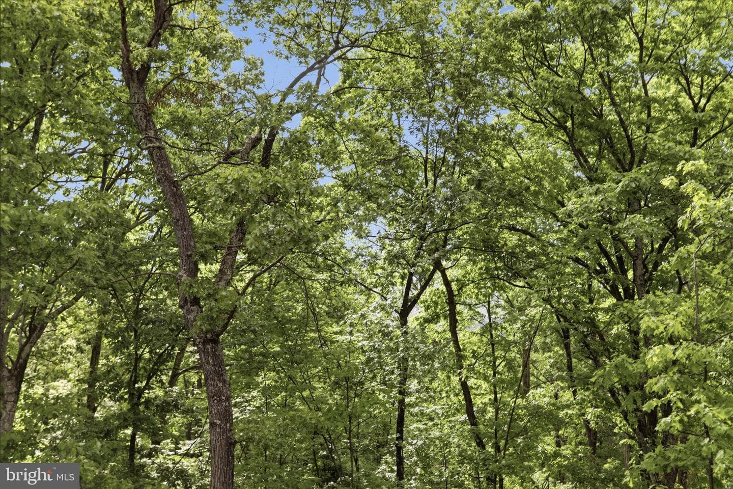 936 Johnny Cake Rd photo 33