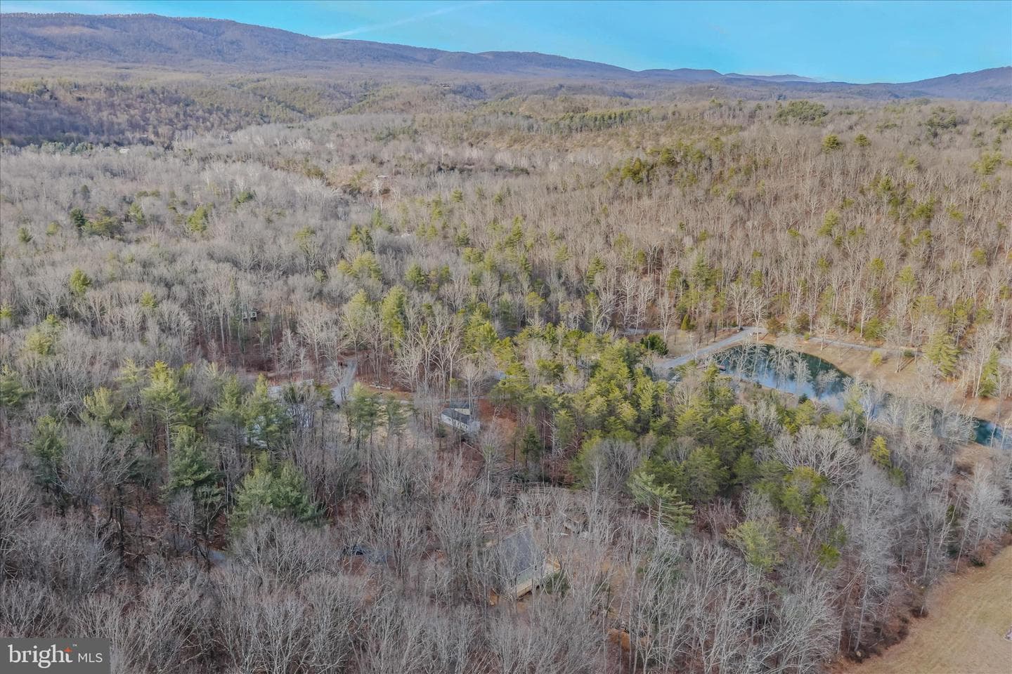 151 Pleasant Dale Lane photo 44