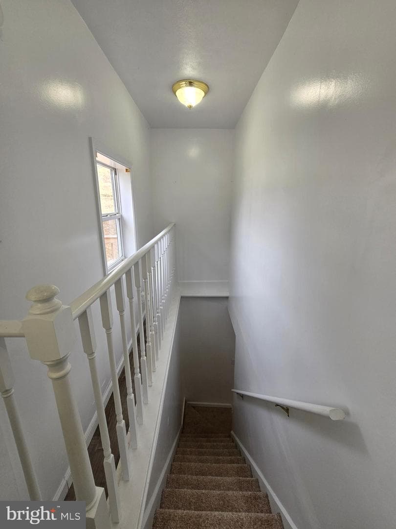 240 Ewing Street photo 17
