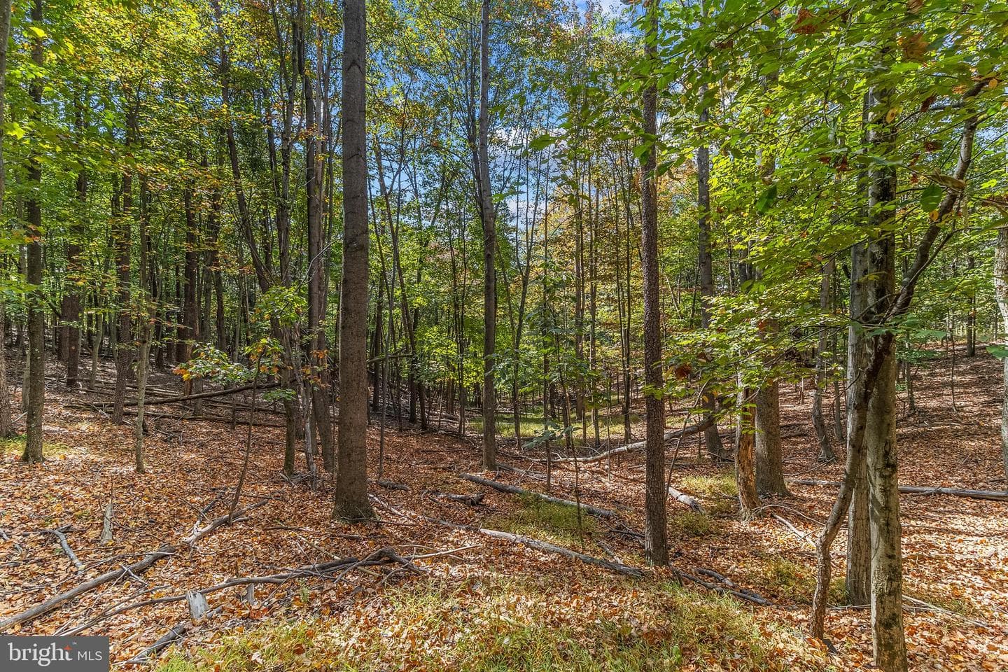33 Maple Lane photo 21