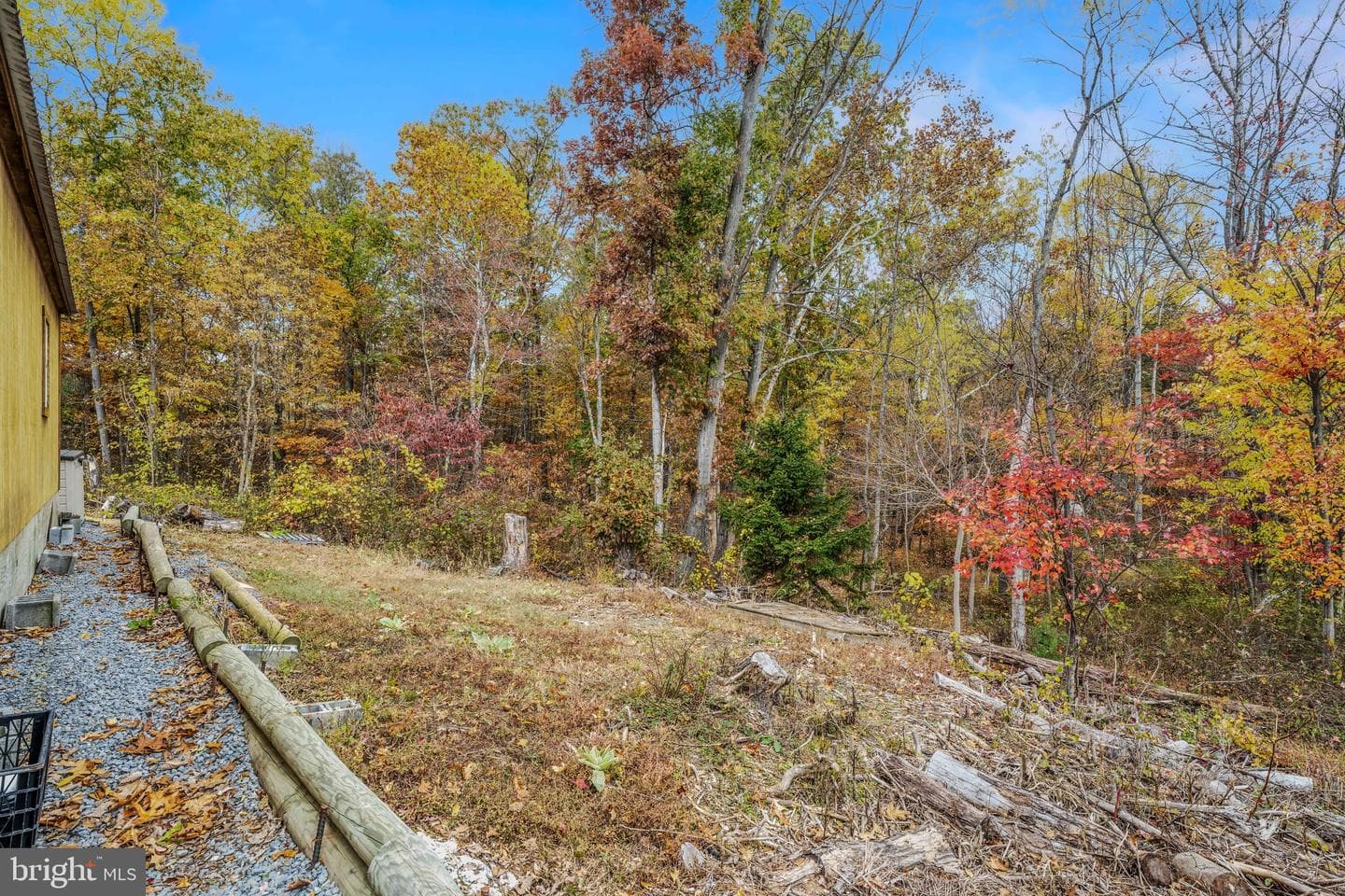 393 Ridersville Road photo 12