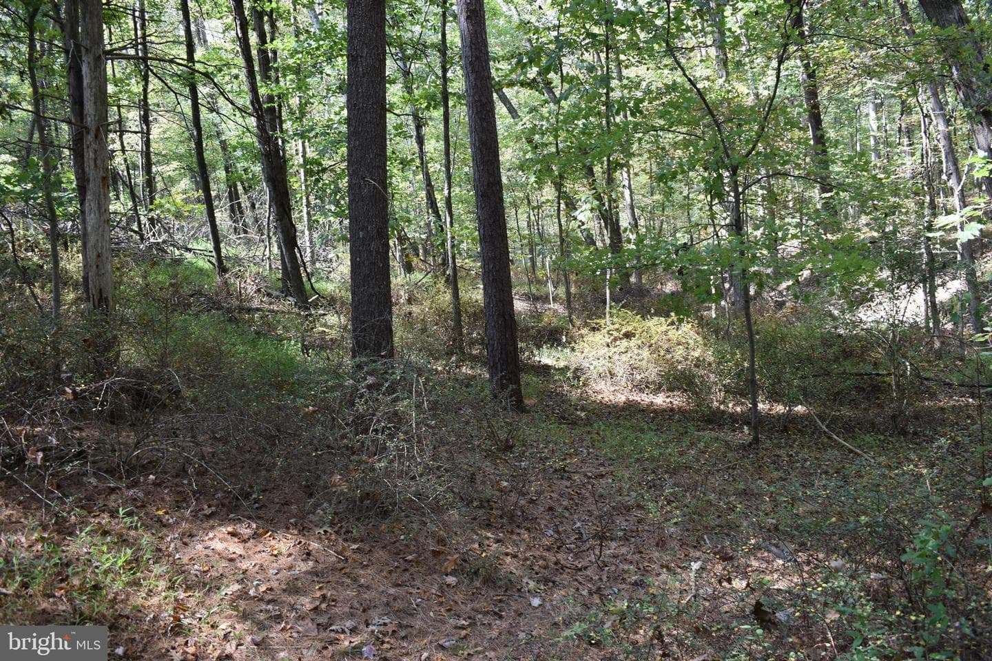 19 Mountain Laurel Drive photo 41