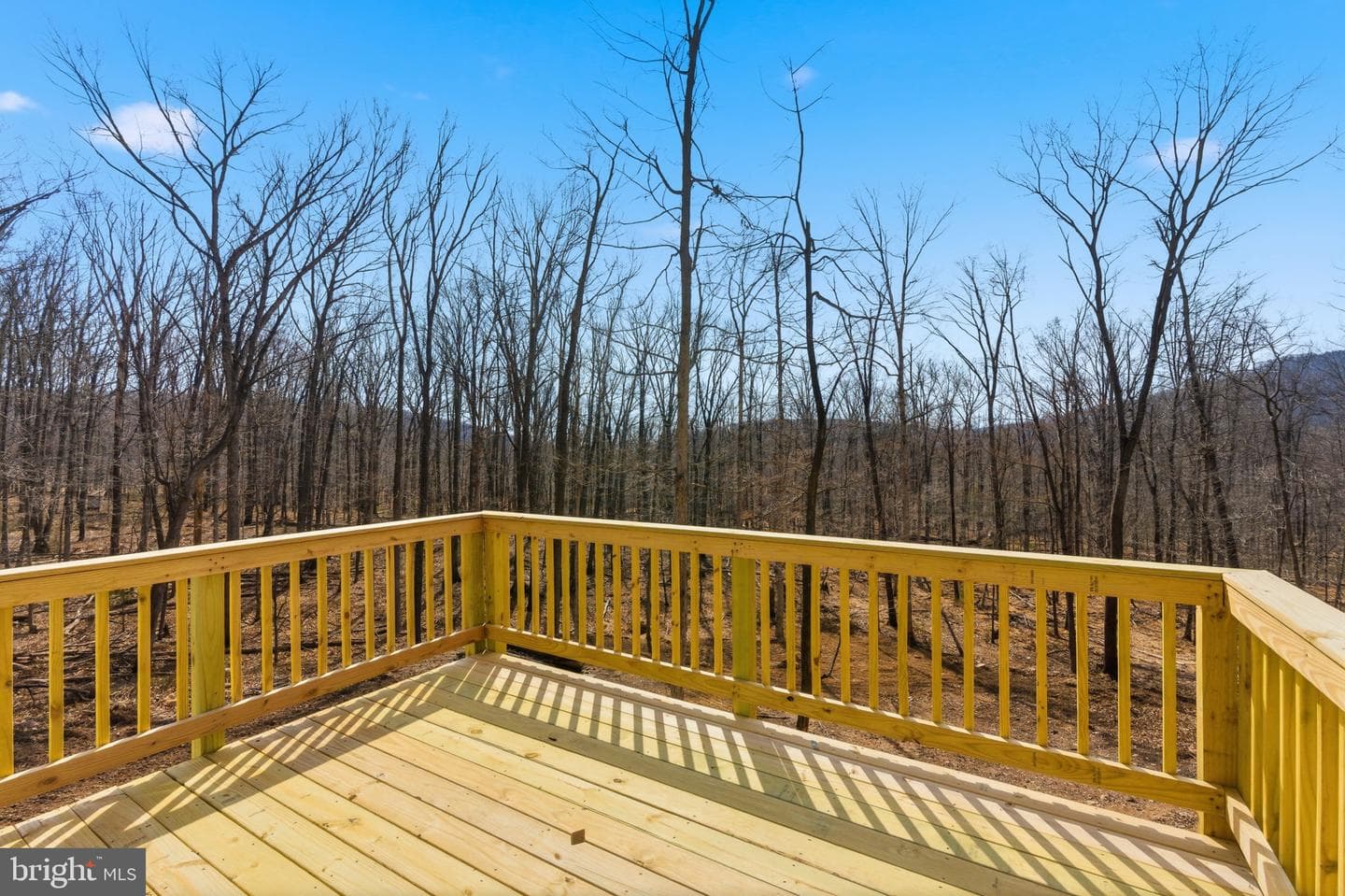 175 Fawn Run Lane photo 38