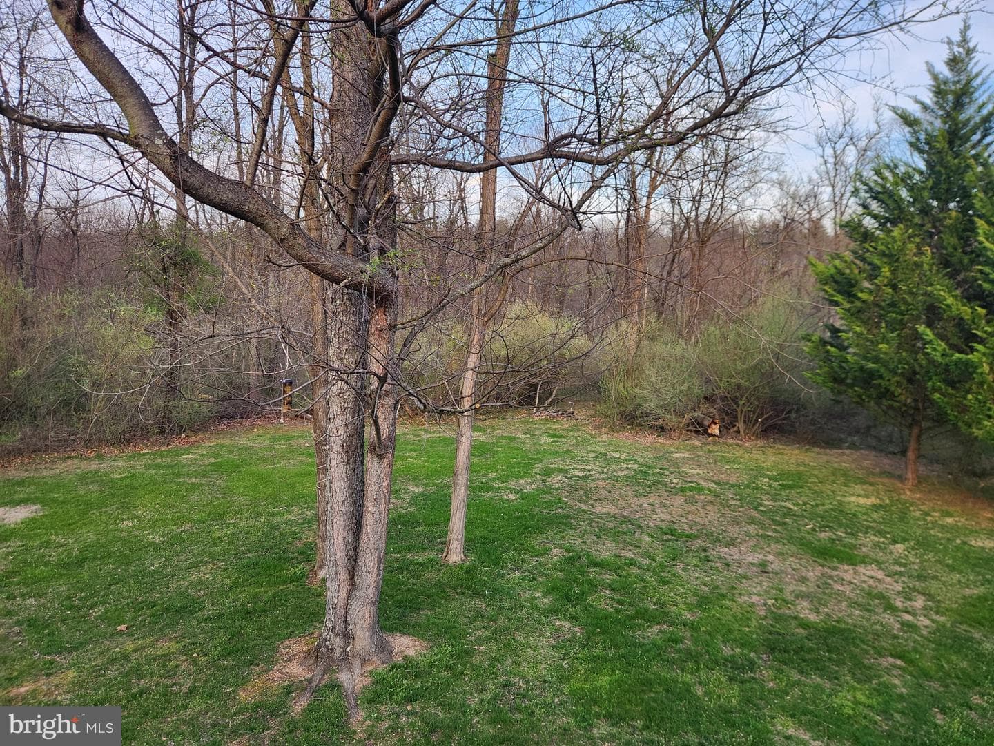 81 Cannon Drive photo 18