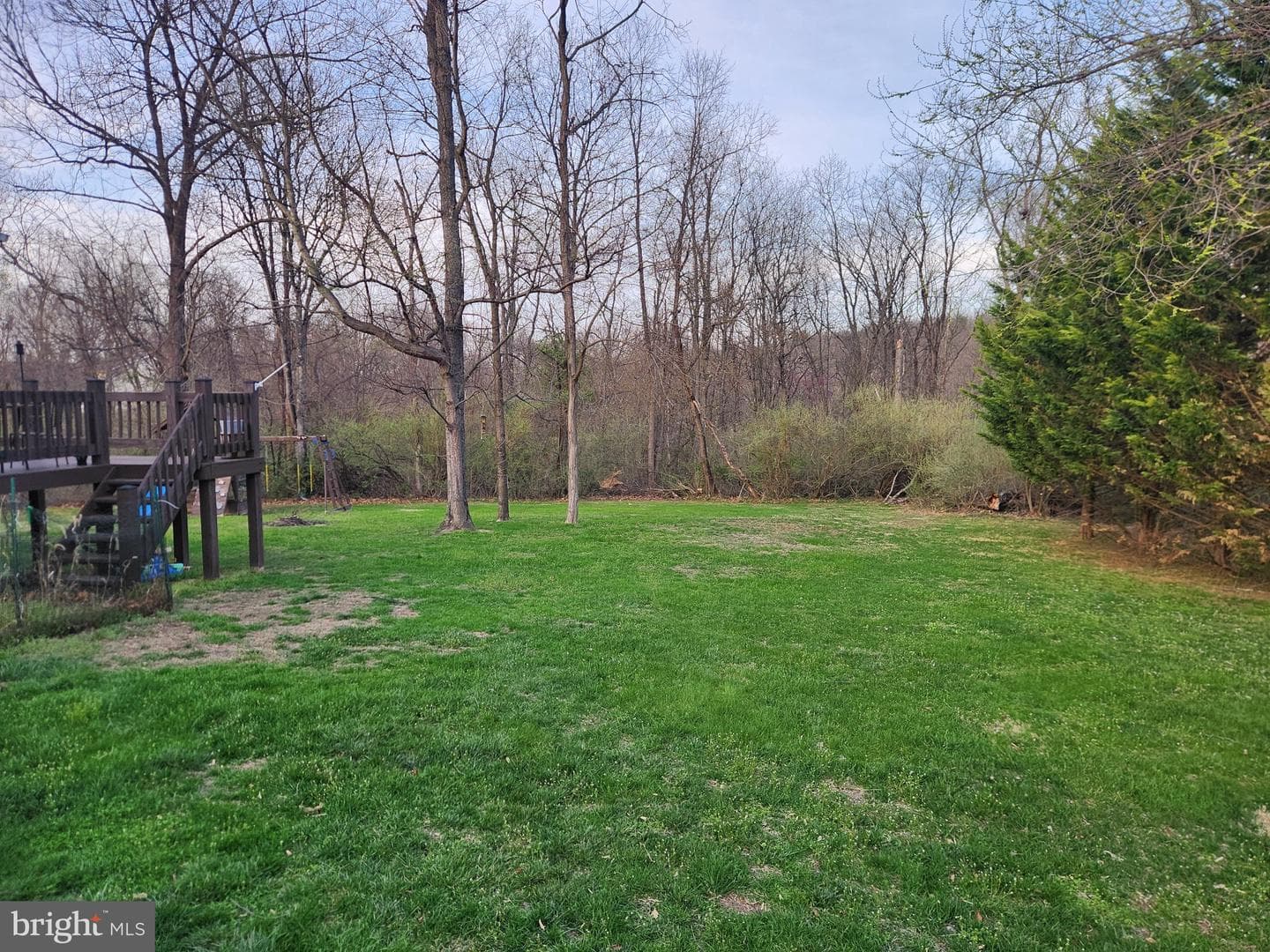 81 Cannon Drive photo 21