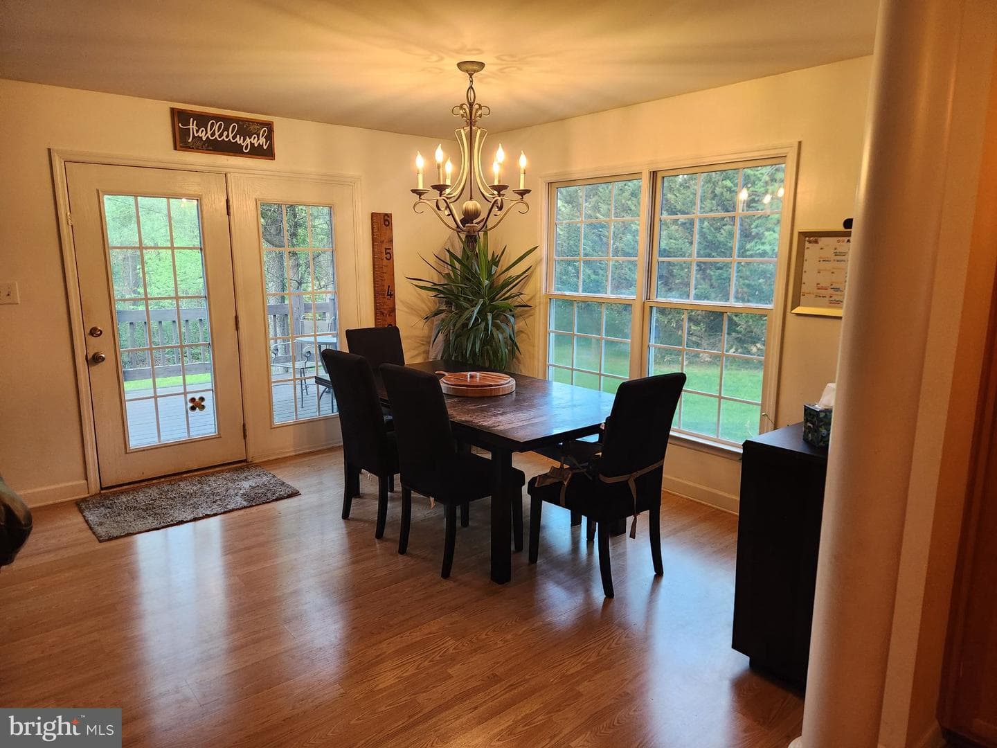 81 Cannon Drive photo 36