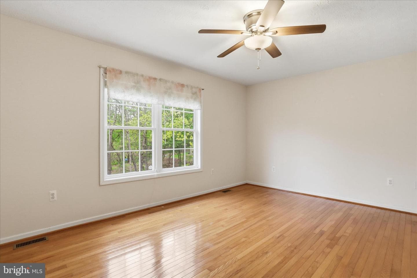 354 Cielo Lane photo 22