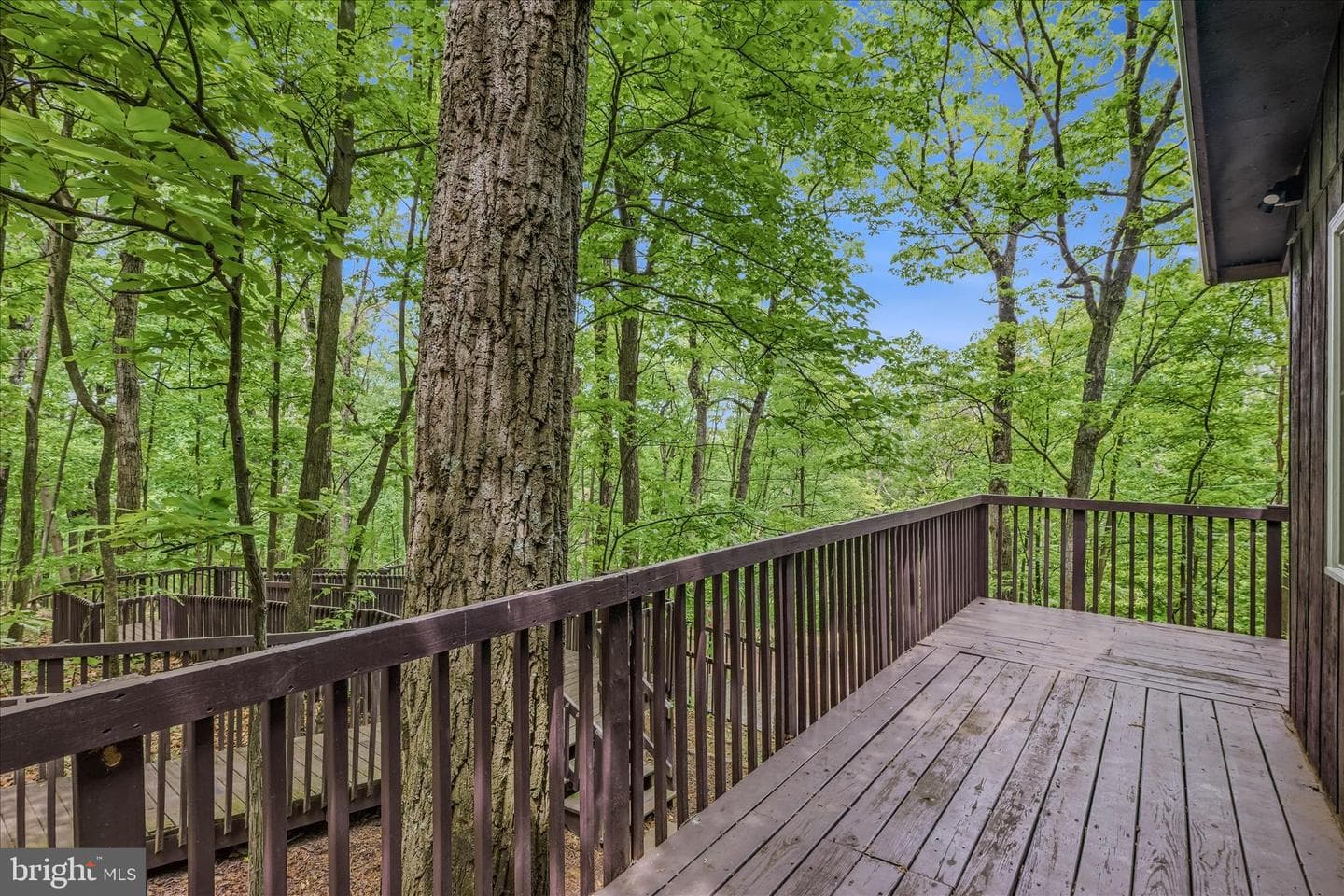 98 Ore Trail photo 11