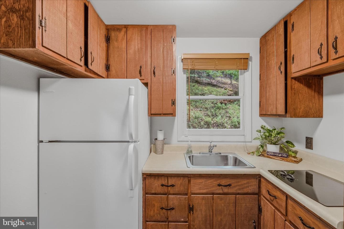 98 Ore Trail photo 20