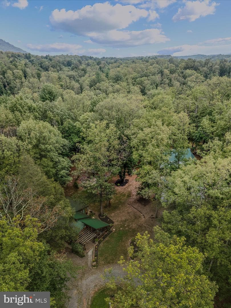 237 Redbud Ln photo 59