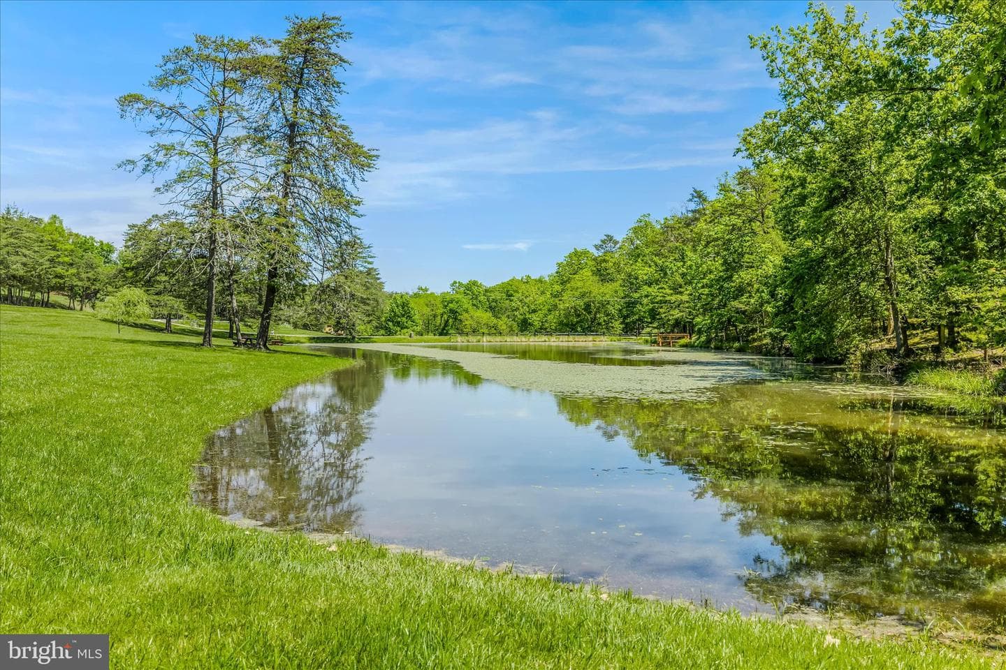 80 Holly Hill Court photo 53