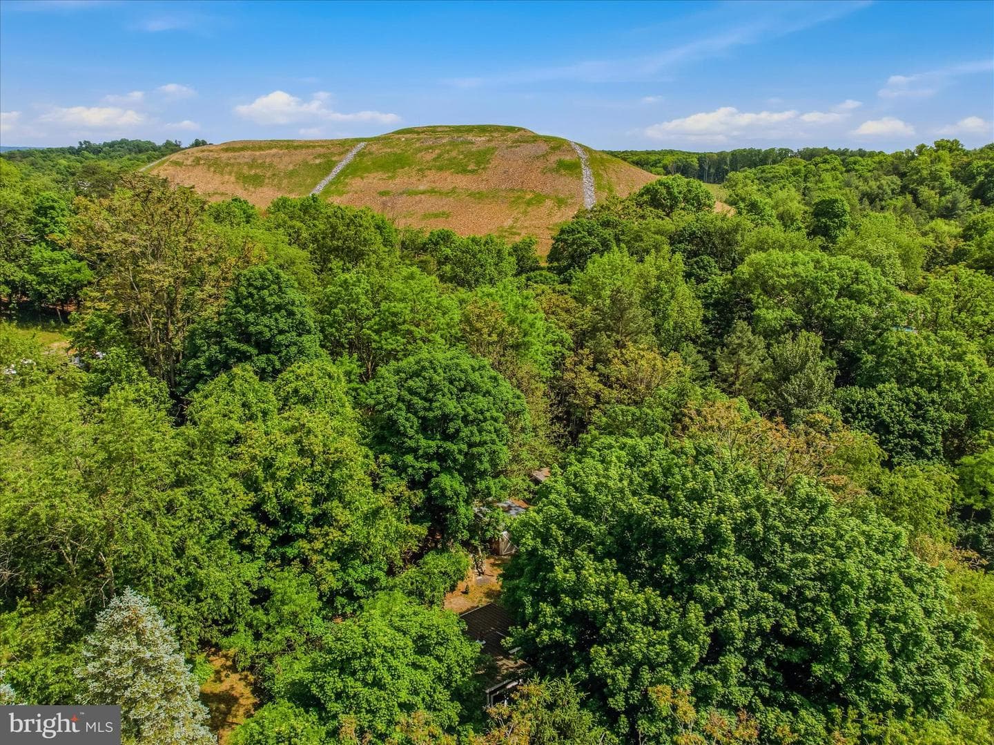 64 Hobday Lane photo 37