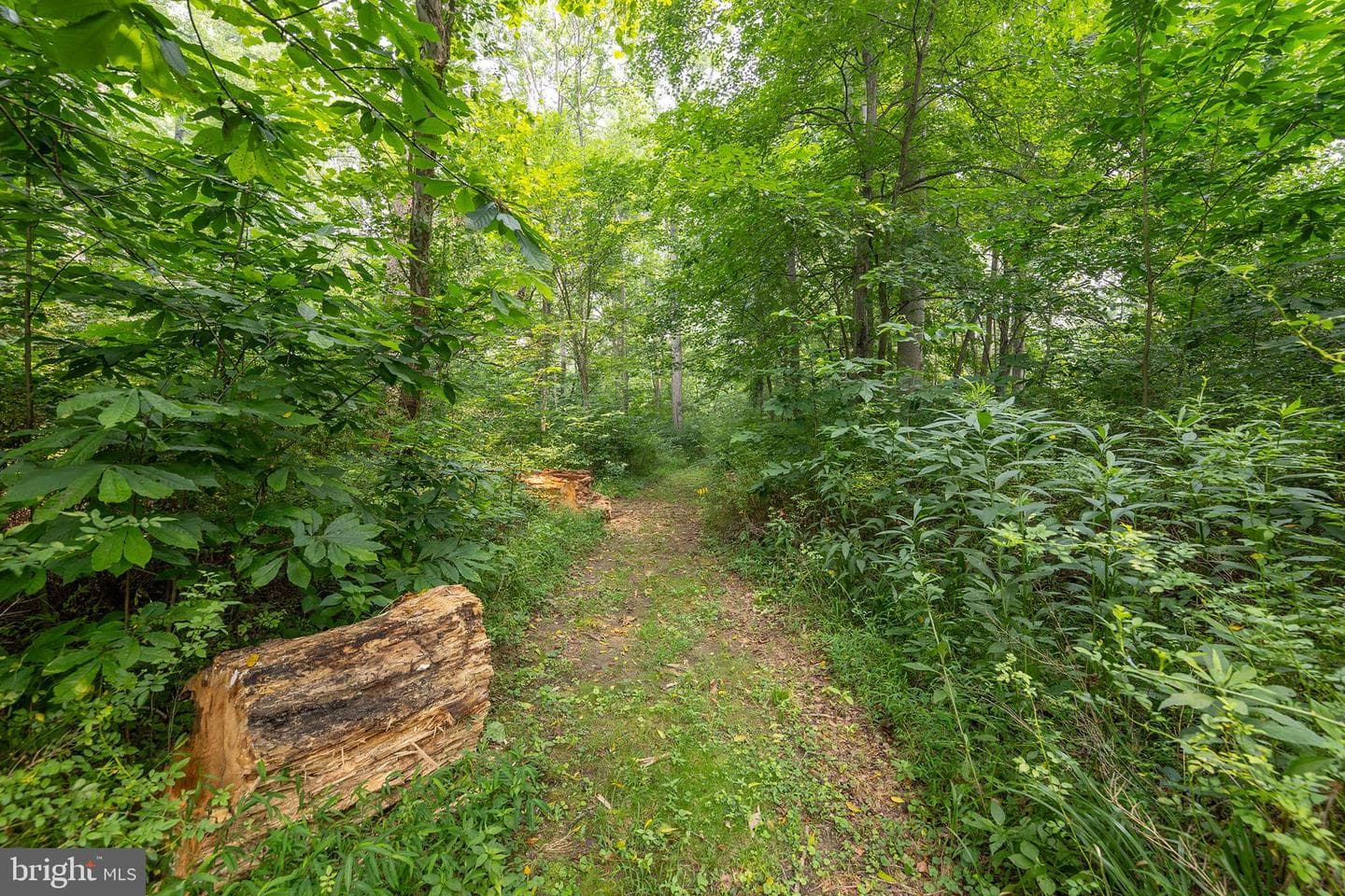 590 Hunters Camp Rd photo 56