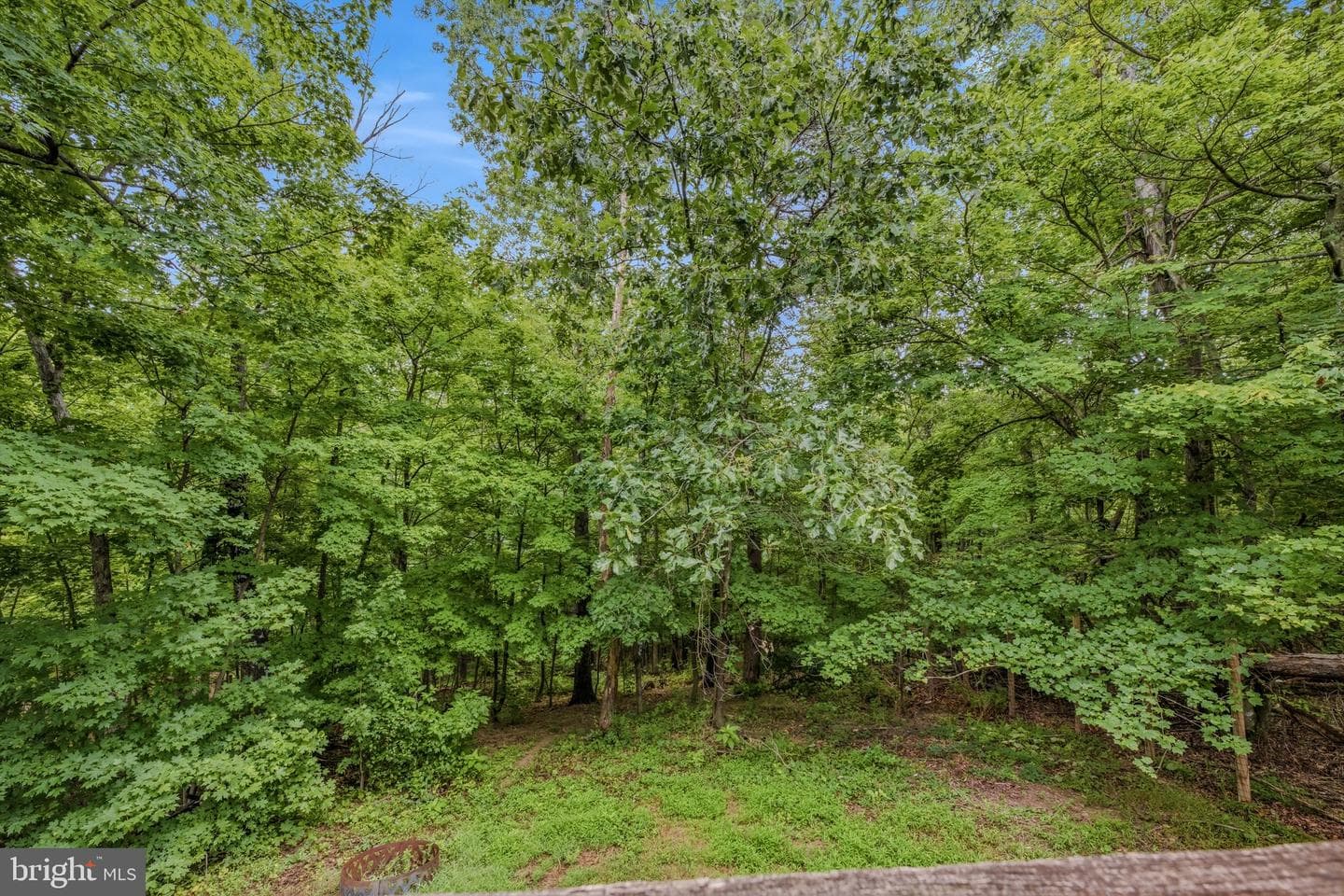 602 Plum Tree Lane photo 30