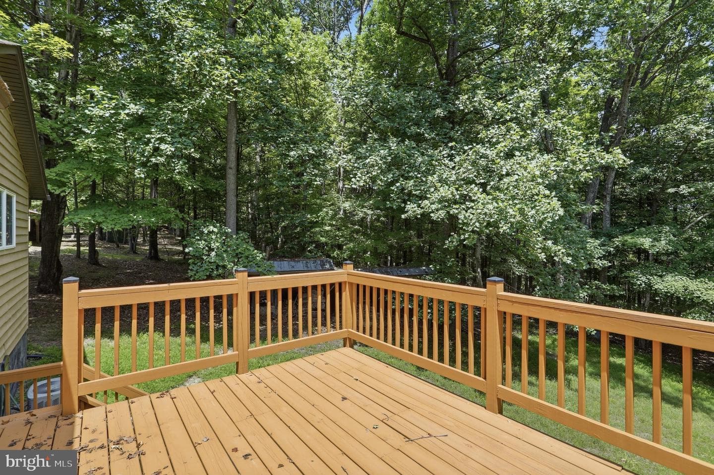351 Silvercreek Lane photo 7