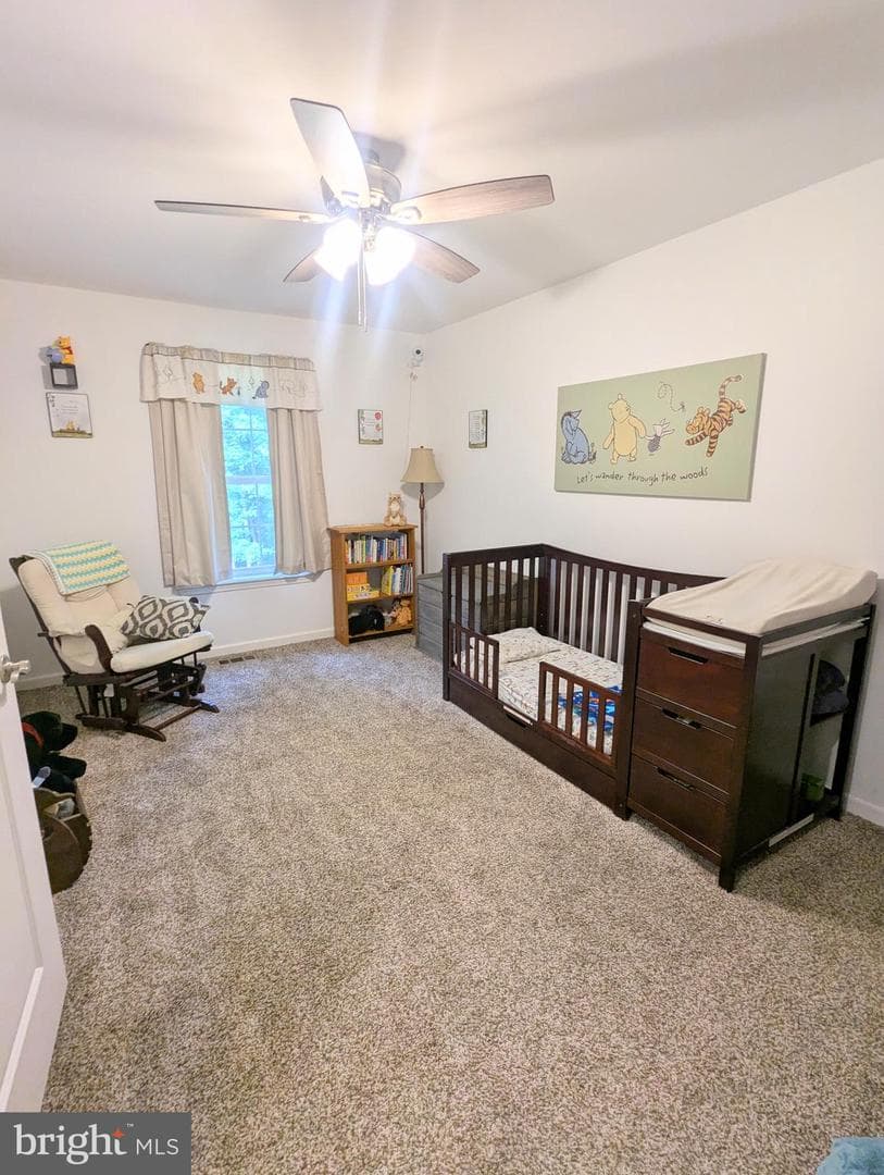 383 Cielo Lane photo 46